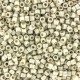 Miyuki delica kralen 11/0 - Matted galvanized silver DB-335
